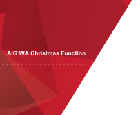 AIG WA Christmas Function