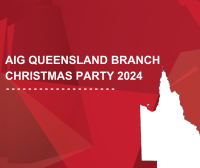 AIG Queensland Christmas Party 2024